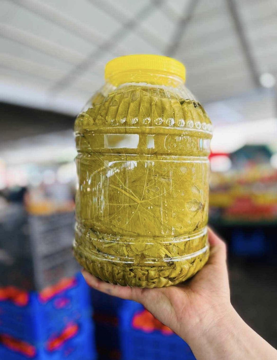 Salamura Damarsız Uç Yaprak 5 Kg