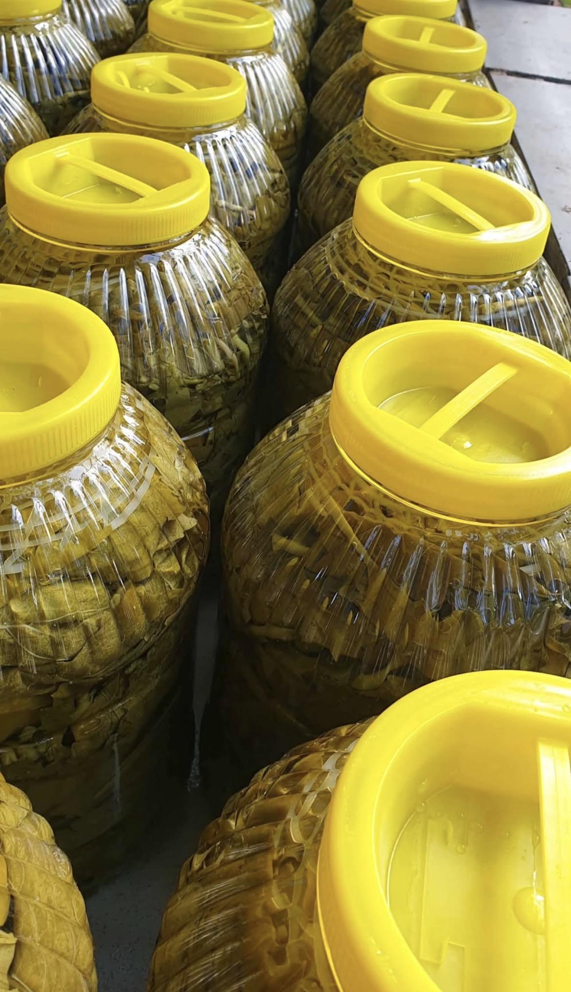 Salamura Mayıs Uç Yaprağı 2x5 Kg